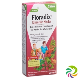 Floradix Eisen für Kinder Saft Flasche 250ml