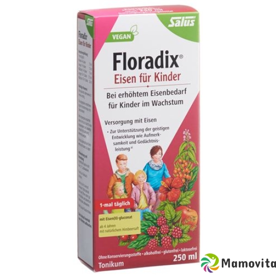 Floradix Eisen für Kinder Saft Flasche 250ml buy online