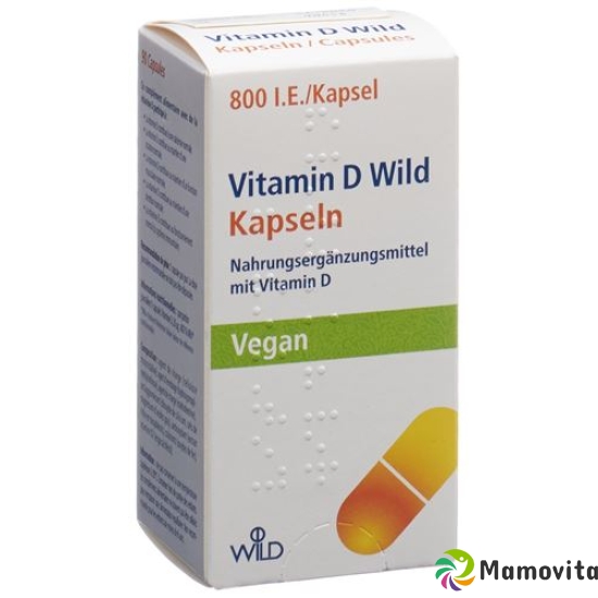 Vitamin D Wild Kapseln Vegan Dose 90 Stück buy online