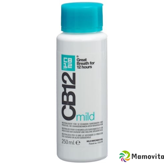 CB12 Mild Mouth Care Bottle 250ml buy online