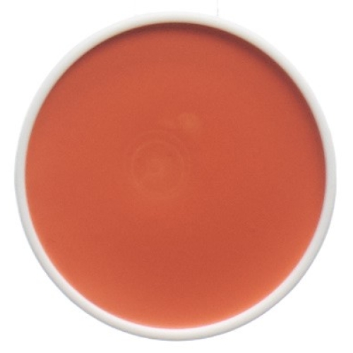 Carneval Color Aqua Schminkpalette Ref Orange 4ml buy online