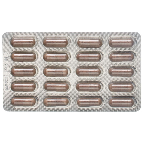 Alpinamed OPC-Lycopin Capsules 60 pieces buy online