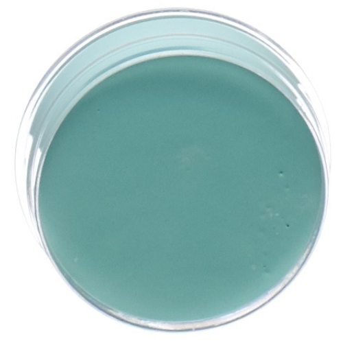 Carneval Color Aqua Make Up Mint Dose 10ml buy online