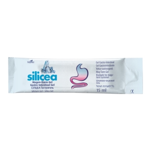 Hübner Silicea Magen-Darm Direct Gel 30 Sticks à 15ml buy online