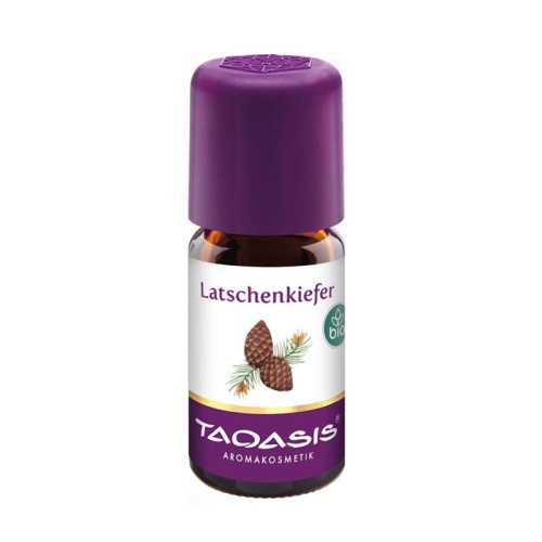 Taoasis Latschenkiefer Ätherisches Öl Bio 5ml buy online