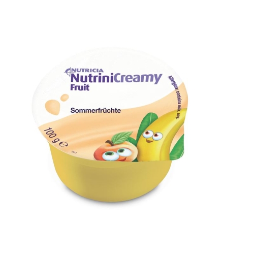 Nutrini Creamy Fruit Sommerfrüchte 4x 100g buy online