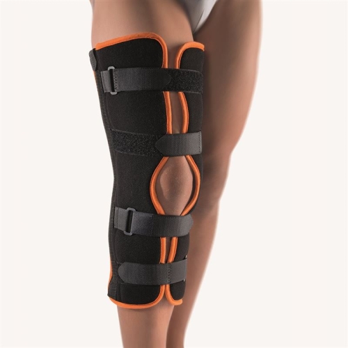 Bort Immobilisations Schiene 20 buy online