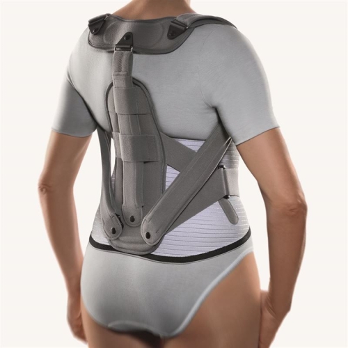 Bort Dynamic Fx Rücken Orthese Grösse 0 XL Silber buy online