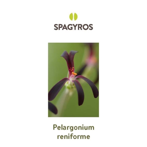 Spagyros Spagyr Pelargonium Renif D 1 Flasche 500ml buy online