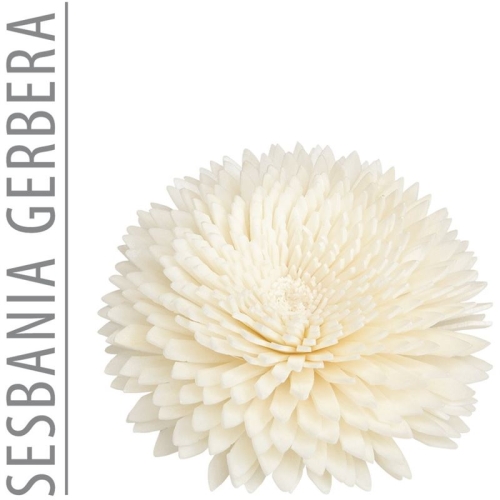 Essence Of Nature Replacement Flower 8cm Gerbera buy online