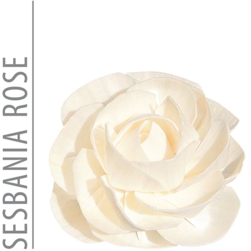 Essence Of Nature Replacement Flower 8cm Rose buy online