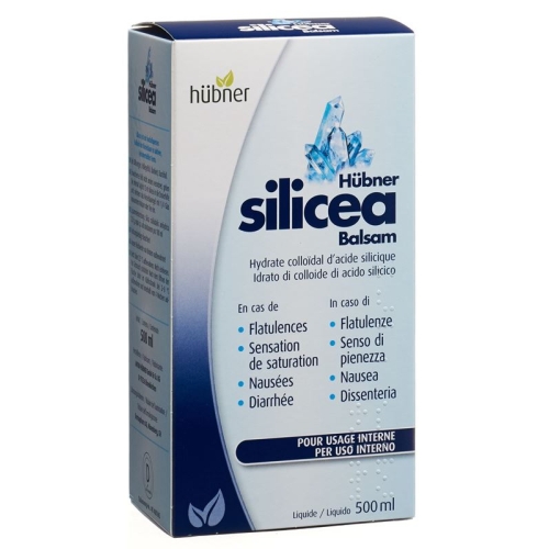 Huebner Silicea Balsam Liquid Flasche 500ml buy online