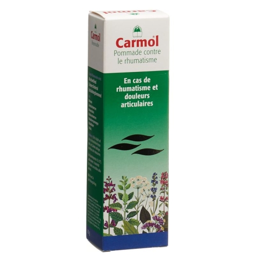 Carmol Rheumasalbe 80g buy online