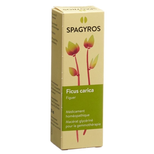 Spagyros Gemmo Ficus Carica Glyc Maz D 1 30ml buy online