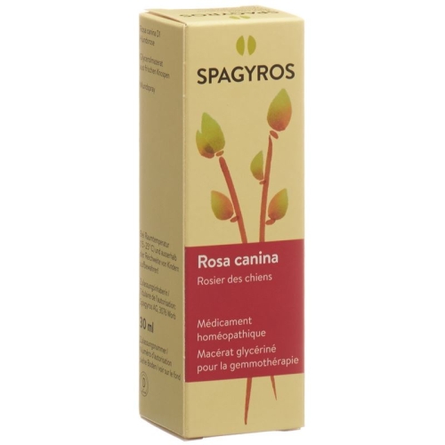 Spagyros Gemmo Rosa Canina Glyc Maz D 1 30ml buy online