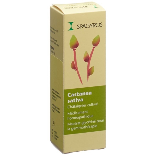 Spagyros Gemmo Castanea Sativa Glyc Maz D 1 30ml buy online