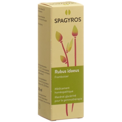 Spagyros Gemmo Rubus Ideaeus Glyc Maz D 1 30ml buy online