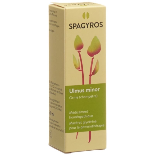 Spagyros Gemmo Ulmus Minor Glyc Maz D 1 30ml buy online