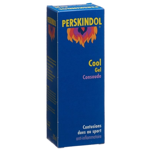 Perskindol Cool Wallwurz Gel 100ml buy online