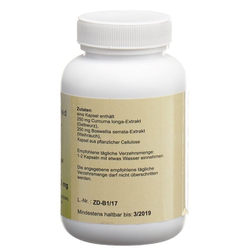 Holistic Med Zematoid Kapseln Dose 90 Stück buy online