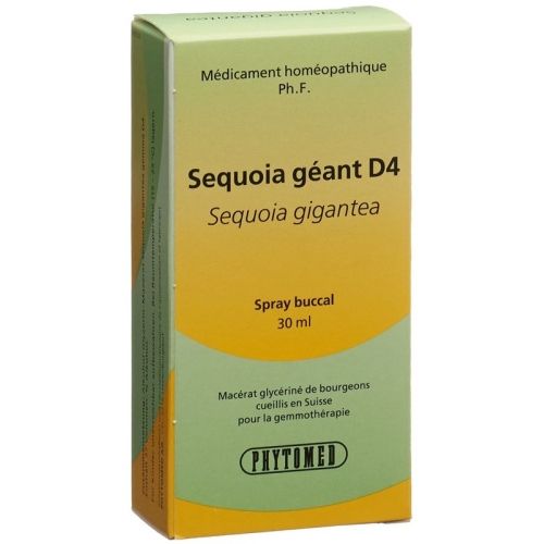 Phytomed Gemmo Mammutbaum Liquid D 4 30ml buy online