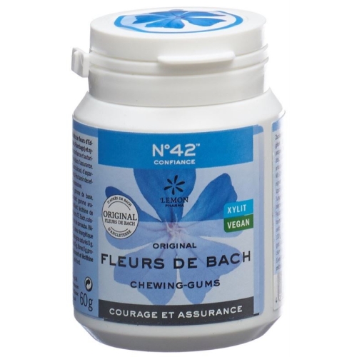 Dr. Bach Kaugummi für Selbstvertrauen Dose 60g buy online