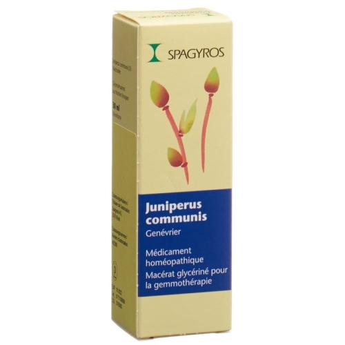 Spagyros Gemmo Juniperus Commun Glyc Maz D 3 30ml buy online