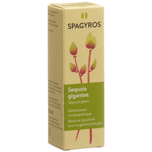 Spagyros Gemmo Sequoia Gigant Glyc Maz D 4 30ml buy online