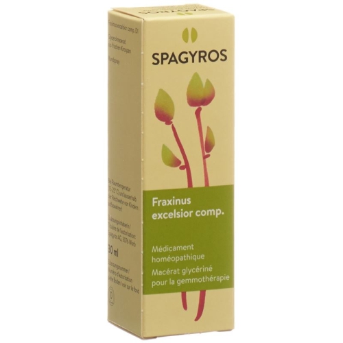 Spagyros Gemmo Comp Fraxinus excel Glyc Maz D 1 30 ml buy online