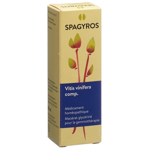 Spagyros Gemmo Comp Vitis vinifera Glyc Maz D 1 30 ml buy online