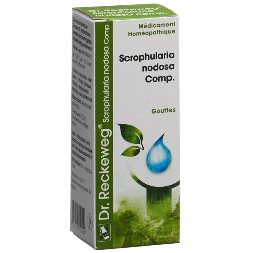 Reckeweg R17 Scrophularia Nod Comp. Tropfen 50ml buy online