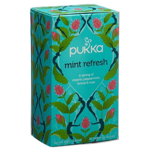 Pukka Menthe Rafraichissante The Bio Beutel 20 Stück buy online