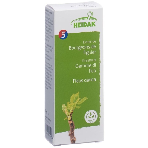 Heidak Knospe Feige Ficus Glyc Maz Flasche 30ml buy online