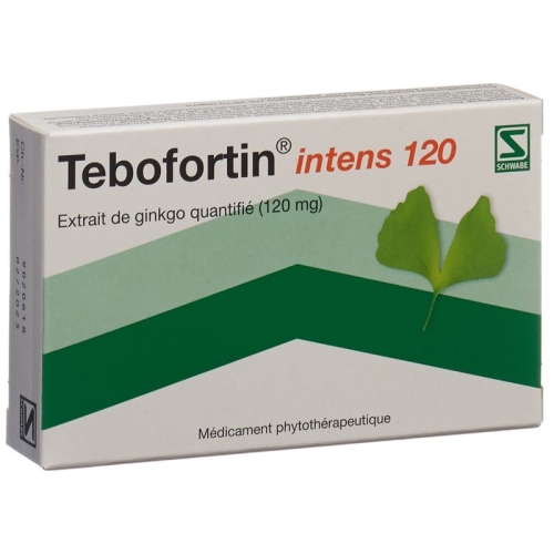 Tebofortin Intens 120 Filmtabletten 120mg 30 Stück buy online