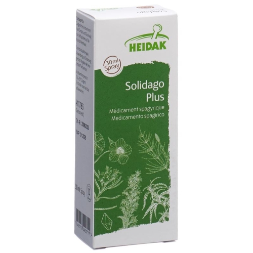 Heidak Spagyrik Solidago Plus Spray Flasche 30ml buy online