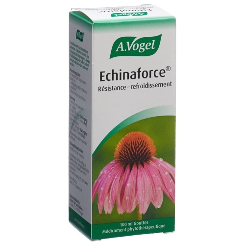 Vogel Echinaforce Resistenz-Erkältung Tropfen 100ml buy online