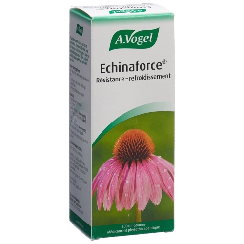 A.Vogel Echinaforce resistance cold drops Fl 200 ml buy online