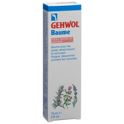 Gehwol Balsam Trockene Haut E/f Tube 75ml buy online