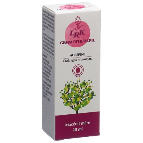 Lrk Mutter Mazerat Weissdorn Tropfen Flasche 20ml buy online