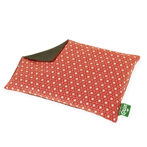 Sky green cherry pit cushion 30x20cm flower red buy online