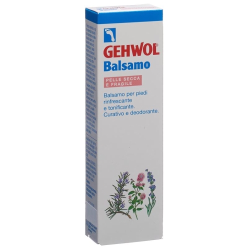 Gehwol Balsam Trockene Haut D/i Tube 75ml buy online