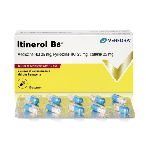 Itinerol B6 10 Kapseln buy online