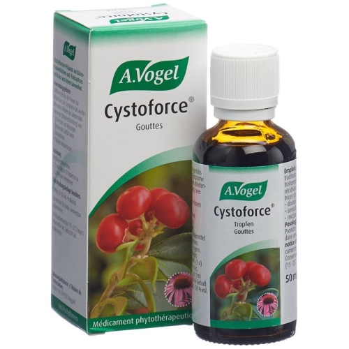 Vogel Cystoforce Tropfen Glasflasche 50ml buy online