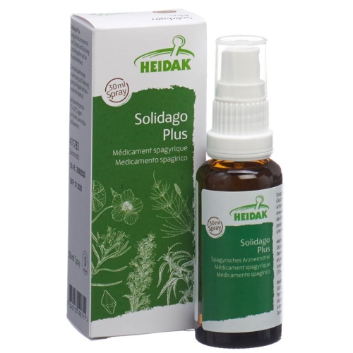 Heidak Spagyrik Solidago Plus Spray Flasche 30ml buy online