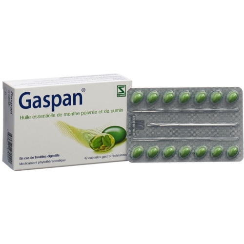 Gaspan Kapseln Magensaftresistent 42 Stück buy online