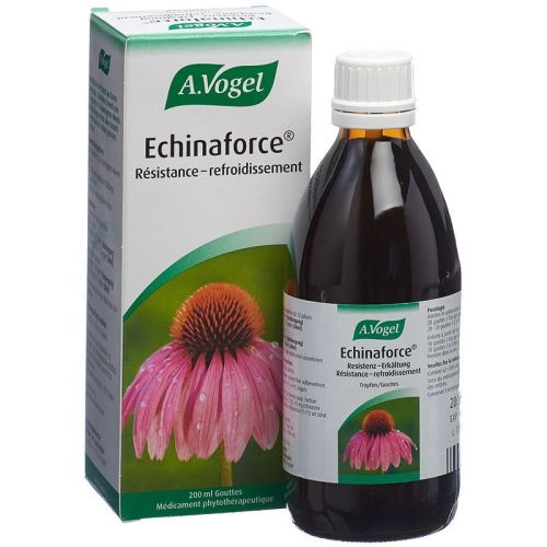 A.Vogel Echinaforce resistance cold drops Fl 200 ml buy online