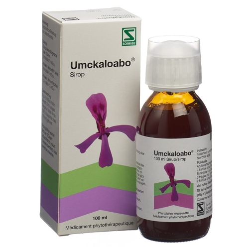 Umckaloabo Sirup Flasche 100ml buy online