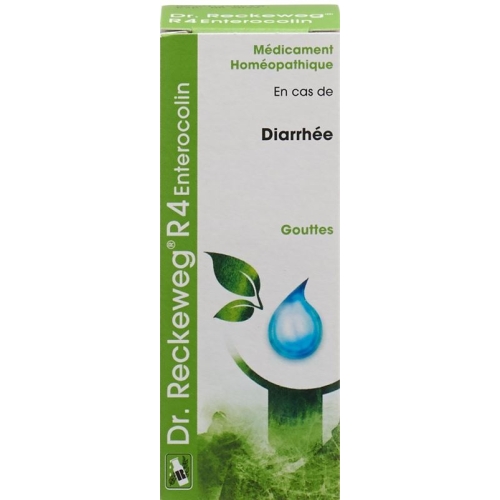 Reckeweg R4 Enterocolin Tropfen Flasche 50ml buy online