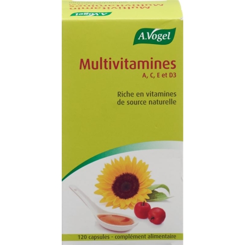 Multivitamin Kapseln 120 Stück buy online