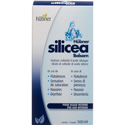 Huebner Silicea Balsam Liquid Flasche 500ml buy online